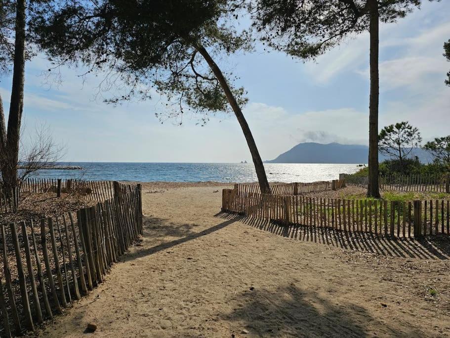 Petit Paradis Classe 3 Etoiles A 200M De La Plage! Terrasse-Wifi-Parking-Clim Saint-Mandrier-sur-Mer Dış mekan fotoğraf