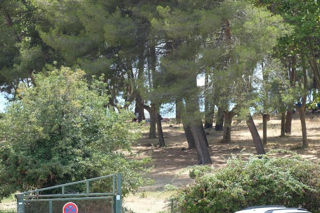 Petit Paradis Classe 3 Etoiles A 200M De La Plage! Terrasse-Wifi-Parking-Clim Saint-Mandrier-sur-Mer Dış mekan fotoğraf