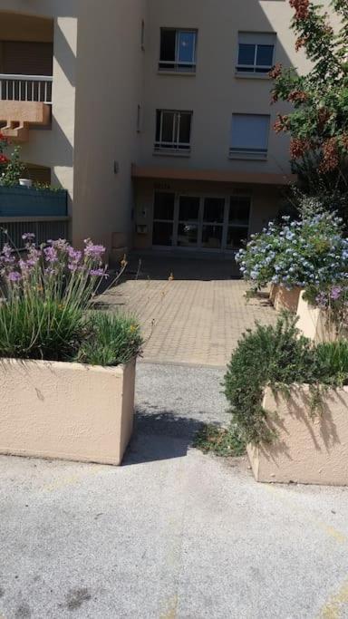 Petit Paradis Classe 3 Etoiles A 200M De La Plage! Terrasse-Wifi-Parking-Clim Saint-Mandrier-sur-Mer Dış mekan fotoğraf