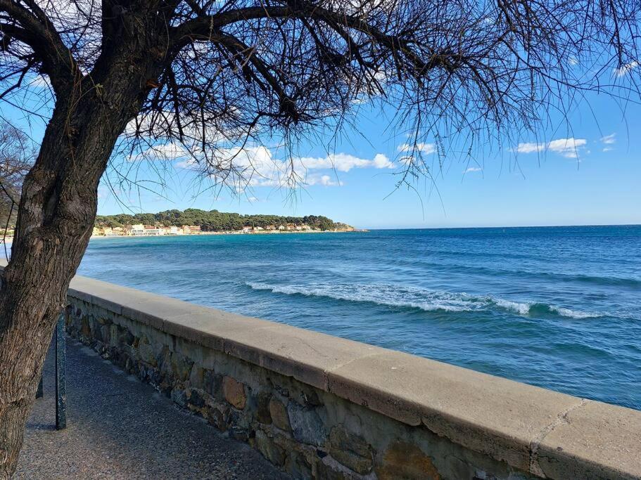 Petit Paradis Classe 3 Etoiles A 200M De La Plage! Terrasse-Wifi-Parking-Clim Saint-Mandrier-sur-Mer Dış mekan fotoğraf