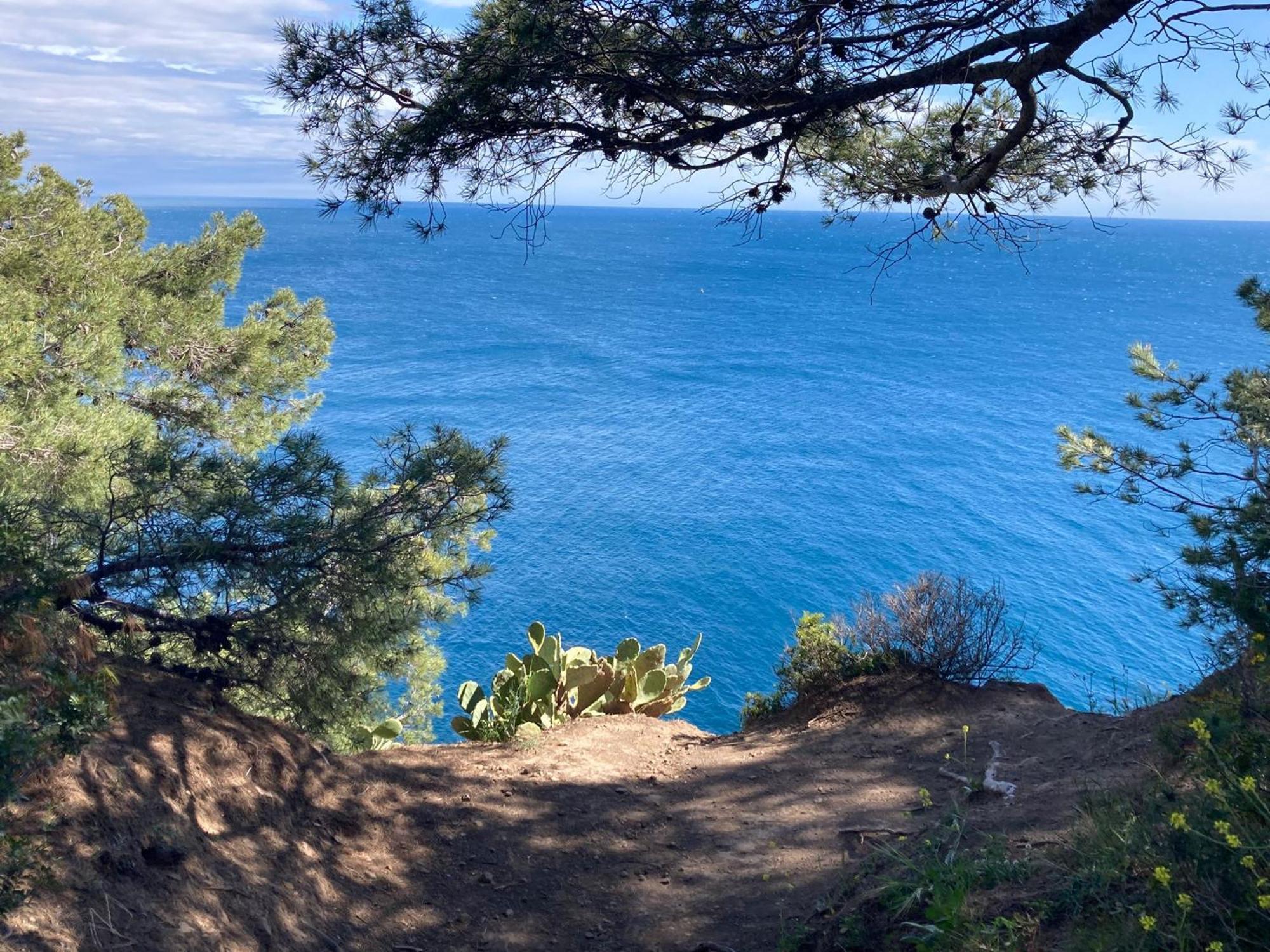 Petit Paradis Classe 3 Etoiles A 200M De La Plage! Terrasse-Wifi-Parking-Clim Saint-Mandrier-sur-Mer Dış mekan fotoğraf